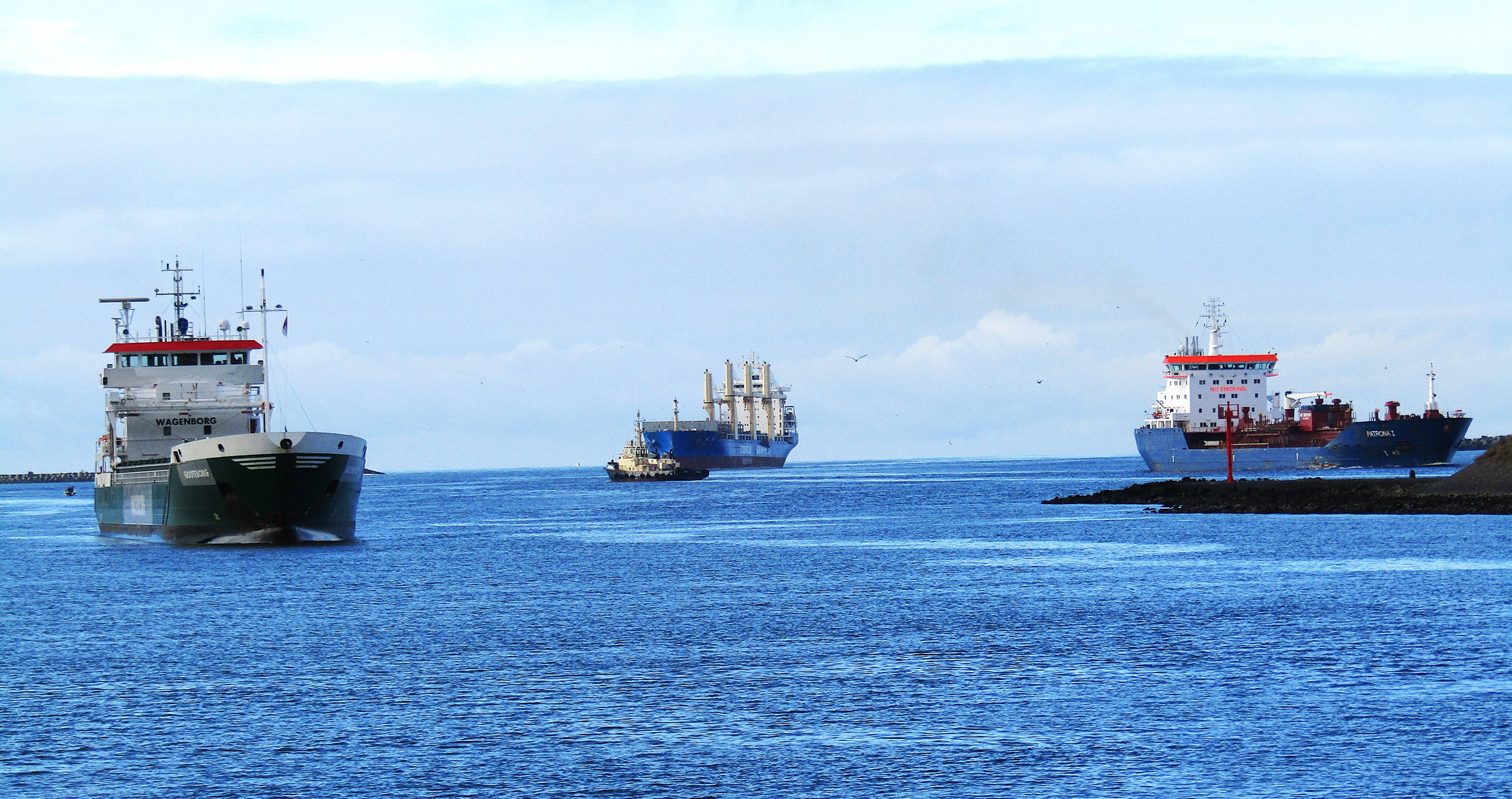 Pieren IJmuiden   30-10-24-2 